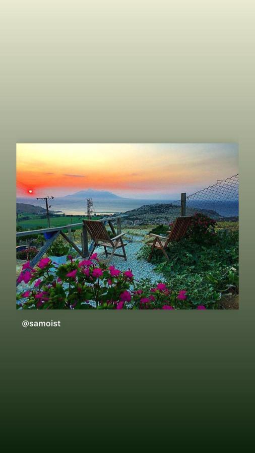 Dimitri Ada Evi & Restaurant Hotel İmroz Eksteriør billede